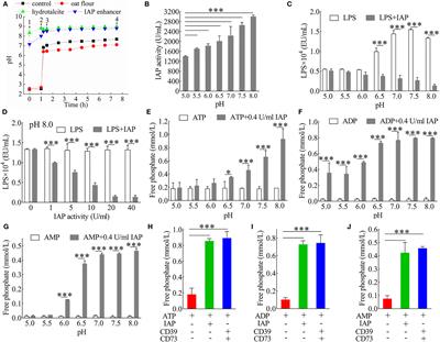 Intestinal alkaline phosphatase (IAP, IAP Enhancer) attenuates intestinal inflammation and alleviates insulin resistance